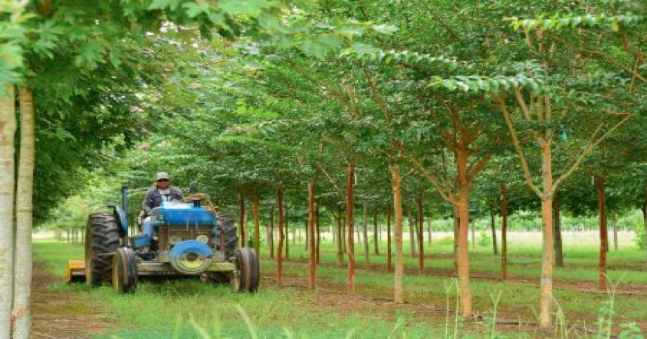 Agriculture